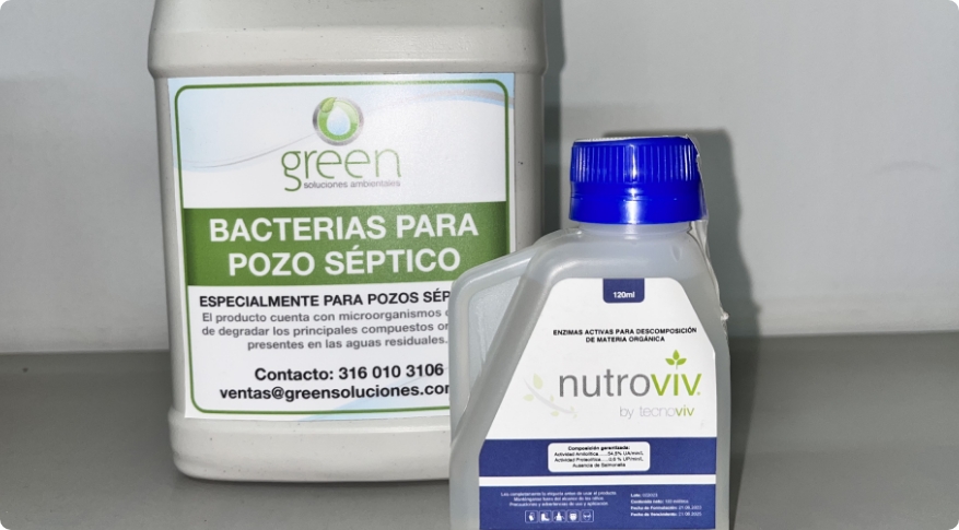 Bacterias y Enzimas Green Bacterias y Enzimas Green
