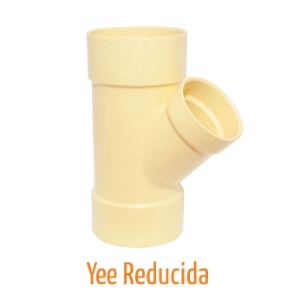 Yee Reducida Yee Reducida