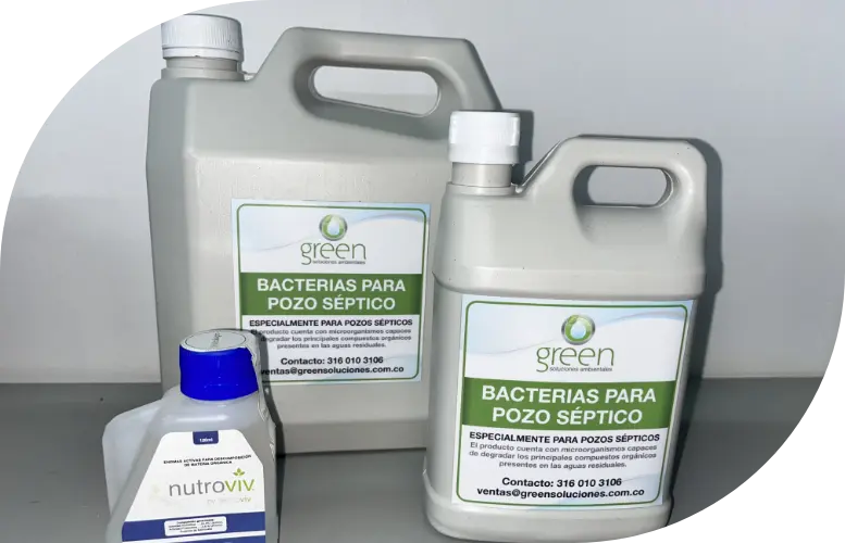 bacterias-y-enzimas-green bacterias-y-enzimas-green