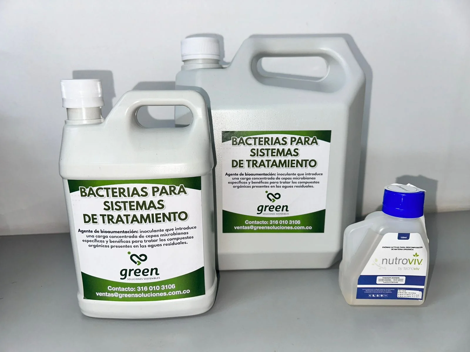 Imagen-Bacterias-Enzimas Bacterias y Enzimas Green